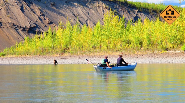 Na břehu řeky vidíme mladého grizzlyho. Foto: Tomáš Srostlík