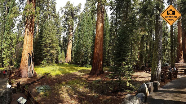 Sequoia National Park. Foto: HOTROCK.cz
