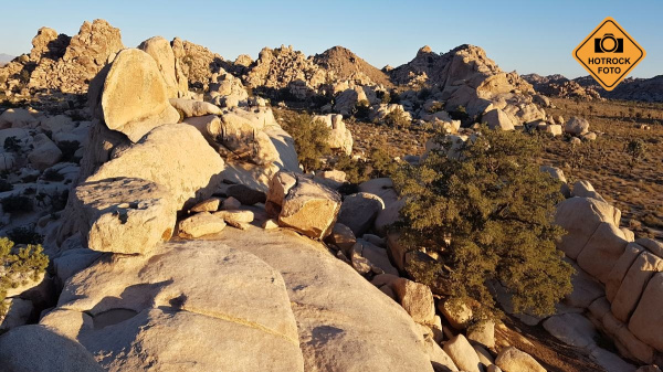 Východ slunce v Joshua Tree. Foto: HOTROCK.cz