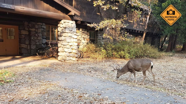 I při toulání po údolí jsou vidět divy. Foto: HOTROCK.cz